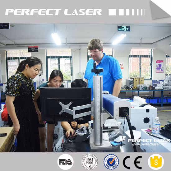 애완 동물 병 및 비닐 봉투 만료일을 위한 Leadjet 30W CO2 레이저 마킹 기계